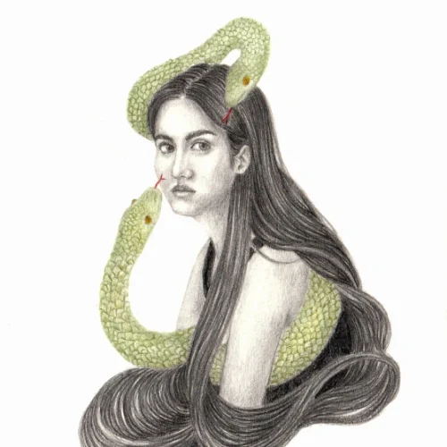 Duplicacion karina huertas alta